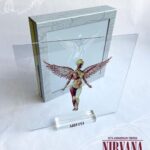 Dug One Instagram - Honored once again to be commissioned to Art Direct & Design a Anniversary Box Set for Nirvana. The 30th Anniversary for In Utero was a dream project for us. Being able to bring some of our vision and aesthetic into a classic album of our generation was a blast!
