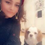 Duygu Karaca Instagram - Benim canımmm kızım 4 yaşina girdi...🐾❤o kadar cok seviyorumki seniiii o kadar cok ki;)❤🐶Birlikte nice guzel yıllarımız olsun kızım sıcacık evimizde🏡 Videodaki cirtlakvari ses tonum icin pardon;))🙈🐶🐾❤ #bugun #kızımın #dogumgunu #mari #4 #yasında #sicacik #evimin #bebegi #kingcharlescavalier #cavalier #kingcharles #cavalierspaniel #bday #happyday #mygirl
