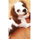 Duygu Karaca Instagram - Senin gülen yuzune kurbannn
