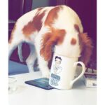 Duygu Karaca Instagram - 👅