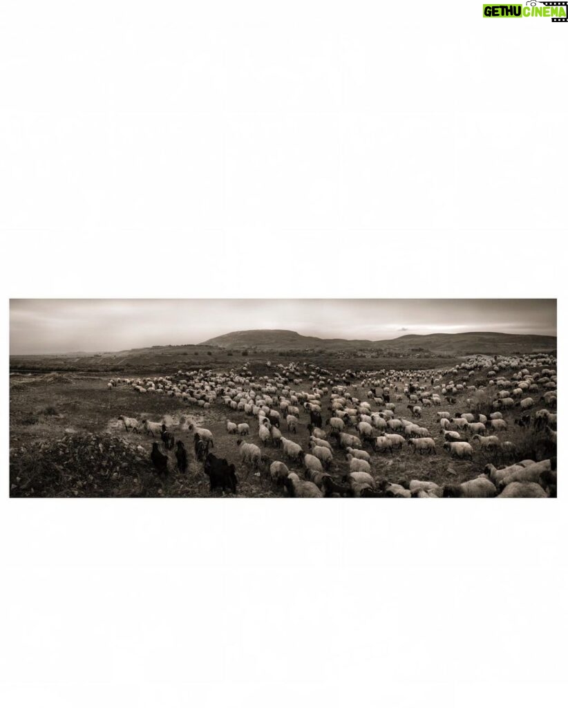 Ebru Ceylan Instagram - 🐑🐃🐏 Anatolia