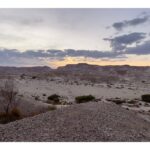 Ebru Ceylan Instagram - Desert🌵🐾 #tbt 2023 #aravafilmfestival Tzukim