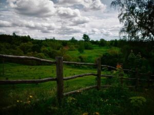 Ebru Ceylan Instagram - Mavi yaz akşamlarında, özgür, gezeceğim,
Ayaklarımın altında nemli, serin kırlar; 
Başakları devşirip otları ezeceğim..
Arthur Rimbaud

#landscapephotography 
#ebruceylanphotography