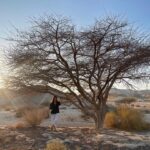 Ebru Ceylan Instagram - Çölde gün batımı🐾✨ #sunsetindesert Tzukim