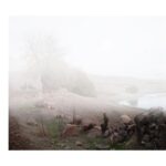 Ebru Ceylan Instagram - 🔲 Fog