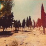 Ebru Ceylan Instagram -