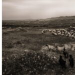 Ebru Ceylan Instagram - 🐑🐃🐏 Anatolia