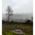 Ebru Ceylan Instagram - "Puslu Manzaralar" #landscapeinthemist