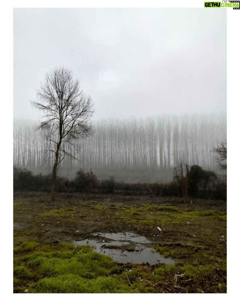 Ebru Ceylan Instagram - "Puslu Manzaralar" #landscapeinthemist