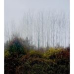 Ebru Ceylan Instagram - "Puslu Manzaralar" #landscapeinthemist