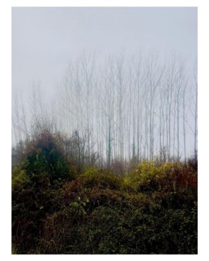 Ebru Ceylan Instagram - "Puslu Manzaralar" 

#landscapeinthemist