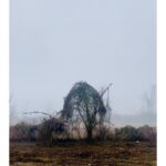 Ebru Ceylan Instagram - "Puslu Manzaralar" #landscapeinthemist