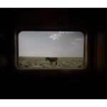 Ebru Ceylan Instagram - Bozkır Treni ➖➖➖ Steppe Train ➖➖➖ @ebruceylanphotography