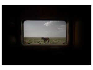 Ebru Ceylan Instagram - Bozkır Treni ➖➖➖

Steppe Train ➖➖➖

@ebruceylanphotography