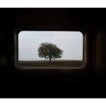 Ebru Ceylan Instagram - Bozkır Treni ➖➖➖ Steppe Train ➖➖➖ @ebruceylanphotography