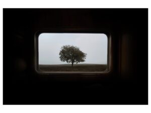 Ebru Ceylan Instagram - Bozkır Treni ➖➖➖

Steppe Train ➖➖➖

@ebruceylanphotography