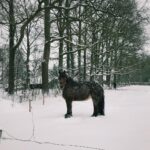 Ece Yüksel Instagram – ❄️ Aalten