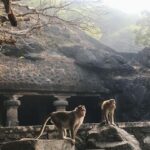 Ece Yüksel Instagram - #monkey 🐒❤️ Elephanta Caves