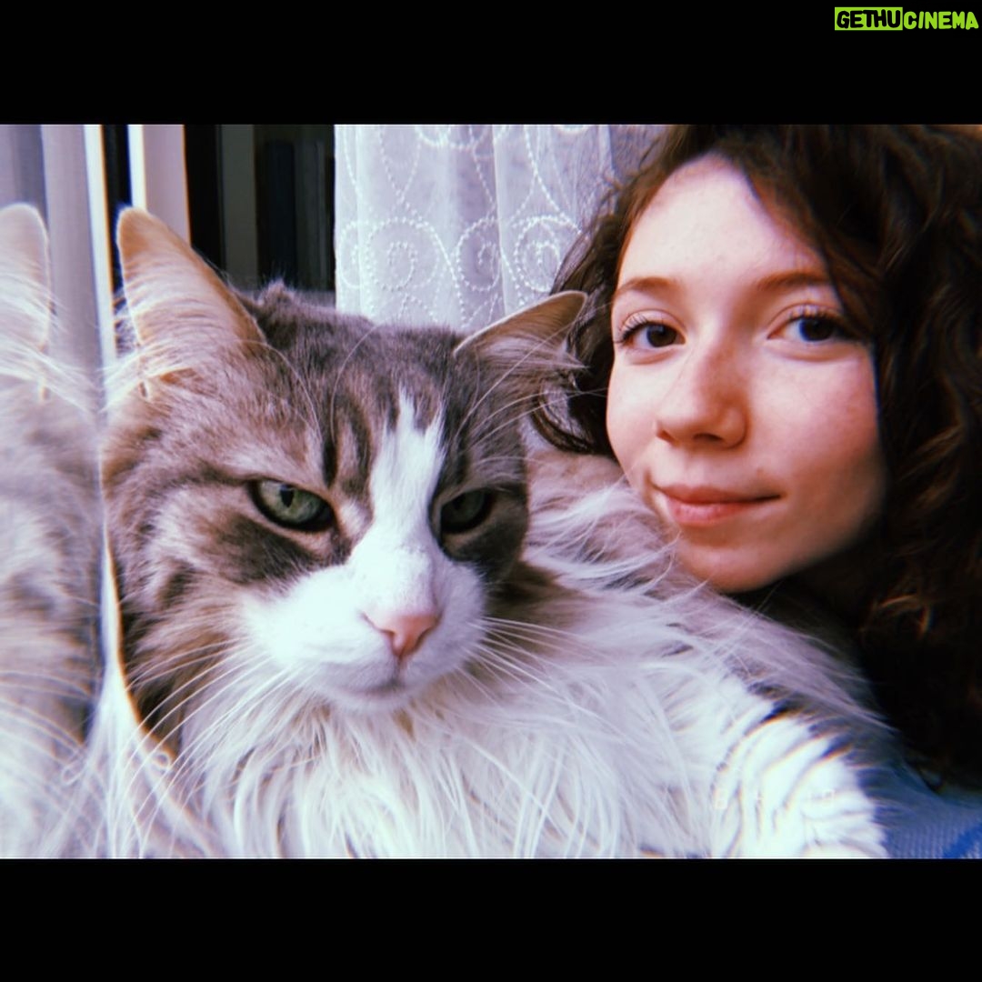Ece Yüksel - 4.2K Likes - Seni kaybedeli 1 yıl oldu canım kaşmirim, seni çok özlüyorum ❤️