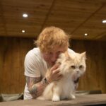 Ed Sheeran Instagram - Japan, I love you so much. Wel be back again soon. Taiwan next ! 📸 @marksurridge