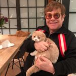 Ed Sheeran Instagram - Throwback dumps today. Here are the explanations for all 1. Elton with my cats, occasionally he handles pussy 2. Me as a storm trooper in Rise of Skywalker, we shot for 12 hours then got told the scene wasn’t being used, so I’m actually in it as an alien, see if you can spot me 3. @damienhirst colouring in my cast when I broke both my arms, coz why not 4. @fredagainagainagainagainagain playing me and my mates what he was working on for no.6 collabs project 5. Me on my 29th birthday 6. My first splash painting, didn’t know what I was doing but enjoyed it 7. Original design of the mathematics tour before we put the stage into production 8. Me FaceTiming Fred to either talk about a mix or show him my sexy body, who knows 9. Me, Johnny and Fred shortly after finishing Bad Habits 10. Me getting dolled up by Lib for the bad habits video Might do a plus throwback next week, or multiply, lemme know which one you’d want my loves. Have a nice Monday bye