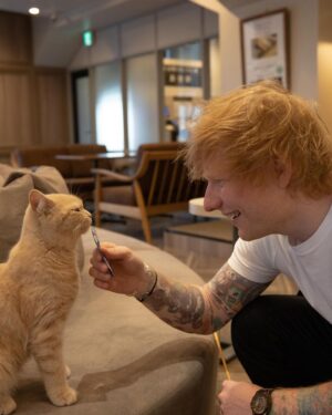 Ed Sheeran Instagram - Japan, I love you so much. Wel be back again soon. Taiwan next ! 📸 @marksurridge