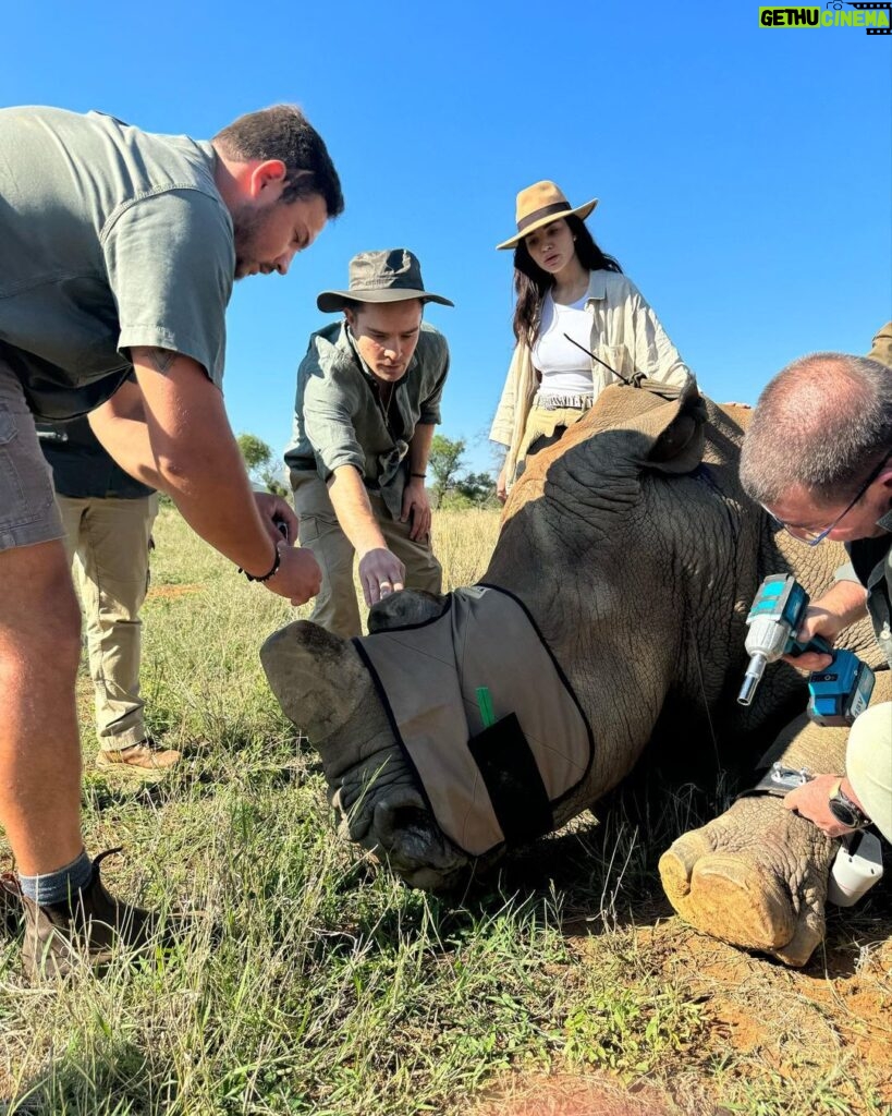 Ed Westwick Instagram - African summer..breakfast in the bush, creatures of the gods…we joined Dr Andre and his team who put in a massive amount of energy, commitment and resources towards protecting the Rhinos from poachers. I have spent time with these innocent, beautiful beings before and will do what I can to help this mission. @qwabiprivategamereserve is an amazing place. If you want to do safari which is a mesmerizing, educational experience I can’t recommend it enough. @tandaafrika and thank you @marlondutoit for the photos of me ;) South Africa