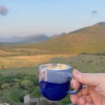 Ed Westwick Instagram - It’s hard to put into words the impact @qwabiprivategamereserve has had on us. It’s Mother Nature at her best. Stunning landscapes with hills and wilderness and incredible Big 5 viewing. The lovely people who are part of the team there are just the best and I feel so grateful to have met you all. Thank you so much. I have so much to share from this trip so will be doing so! @tandaafrika were amazing to book through & @marlondutoit your care and warmth was epic🙏🏻