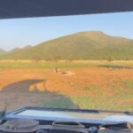 Ed Westwick Instagram - It’s hard to put into words the impact @qwabiprivategamereserve has had on us. It’s Mother Nature at her best. Stunning landscapes with hills and wilderness and incredible Big 5 viewing. The lovely people who are part of the team there are just the best and I feel so grateful to have met you all. Thank you so much. I have so much to share from this trip so will be doing so! @tandaafrika were amazing to book through & @marlondutoit your care and warmth was epic🙏🏻