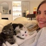 Eda Ece Instagram - Setten eve gelince Matilda'nın çocuklarına ben bakıyorum nöbet değişimi😻