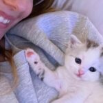 Eda Ece Instagram - Setten eve gelince Matilda'nın çocuklarına ben bakıyorum nöbet değişimi😻