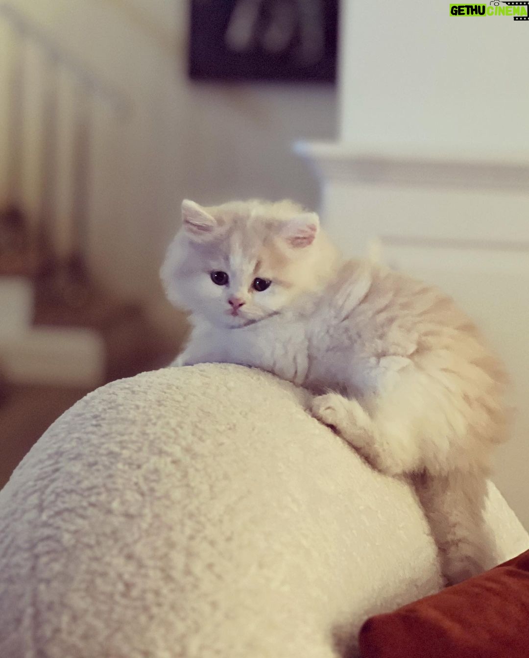 Eda Ece Instagram - Yoğun istek üzerine Reçel🫶👼🏼🤍🤍 #tatlılıkeyfi 🧿 süt reçeli bu😻 Matilda'mın kızı, torunum😂🥲