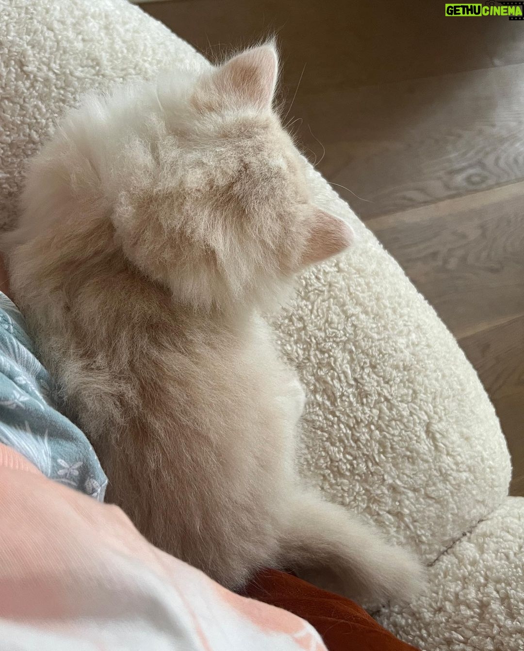 Eda Ece Instagram - Yoğun istek üzerine Reçel🫶👼🏼🤍🤍 #tatlılıkeyfi 🧿 süt reçeli bu😻 Matilda'mın kızı, torunum😂🥲