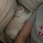Eda Ece Instagram – Yoğun istek üzerine Reçel🫶👼🏼🤍🤍 #tatlılıkeyfi 🧿 süt reçeli bu😻 Matilda’mın kızı, torunum😂🥲