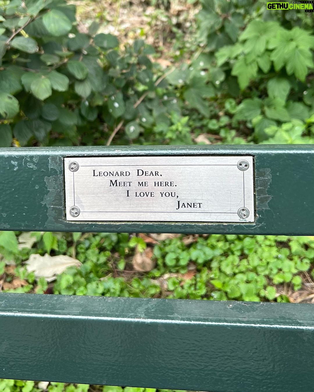 Eden McCoy Instagram - Thank you New York for the magic