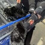 Egor Bulatkin Instagram – Luna Homeless Luna Luna: Forgotten Fantasy
