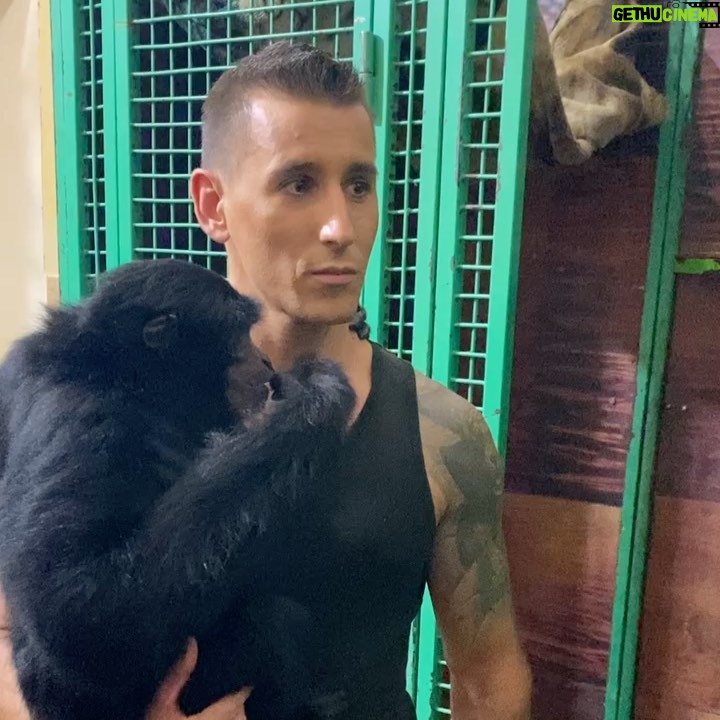 Egor Druzhinin Instagram - Великолепное шоу Гии Эрадзе «Бурлеск». Талантливые артисты, отличные номера, яркие костюмы, ухоженные животные. Браво @royalcircusgiaeradze #бурлеск #королевскийциркгииэрадзе Сочинский цирк