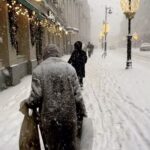 Egor Druzhinin Instagram - Позавчера гулял с Торой и повстречал снежную королеву.
