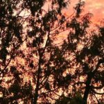Ehren Kassam Instagram - The sun is real cute for a flaming ball of primordial chaos Port Elgin, Ontario