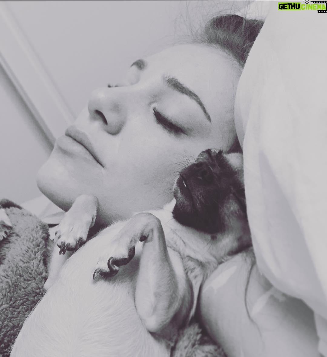 Elçin Sangu Instagram - İnsan gibi uyuyanlarda bugün❗️ #windu