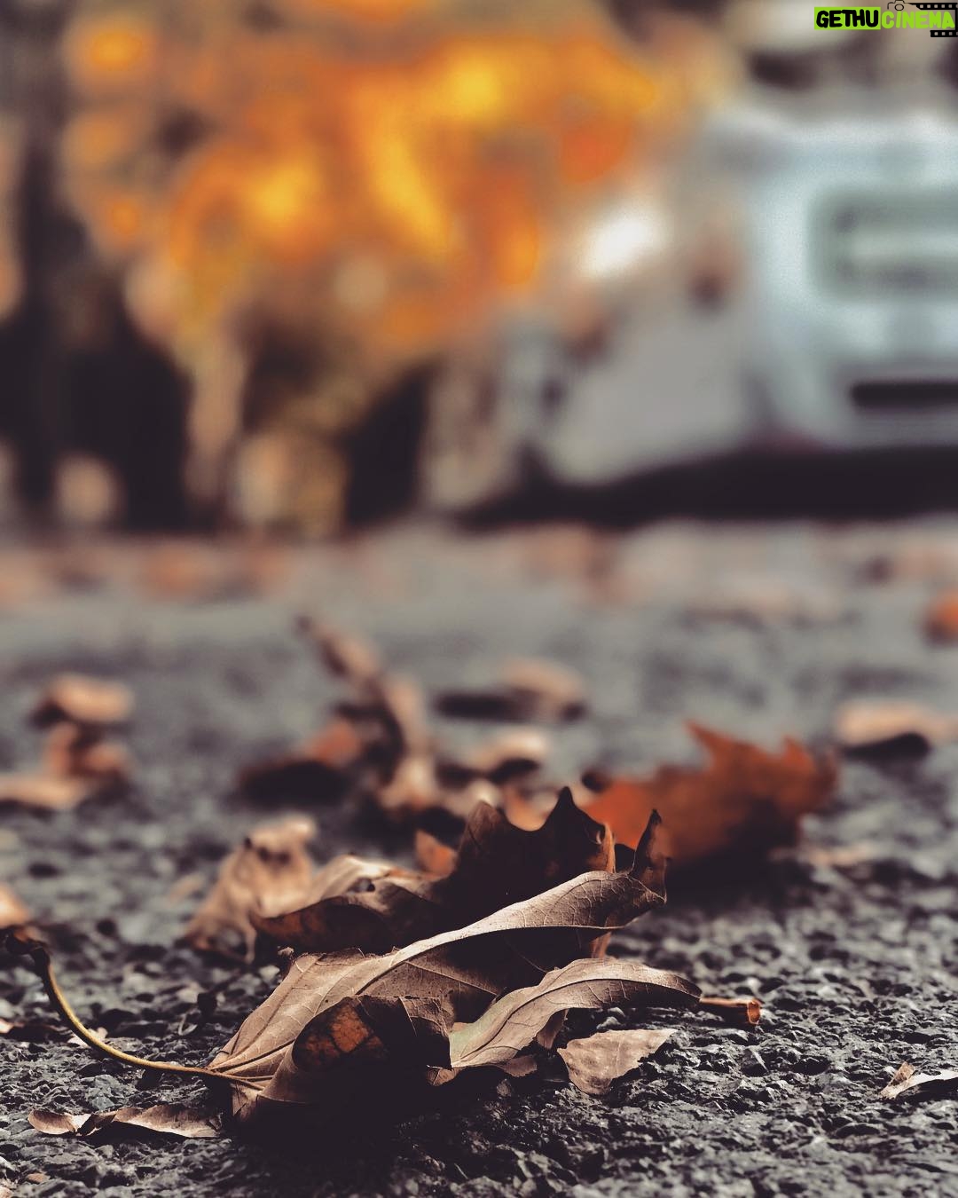Elçin Sangu Instagram - Sonbaharınilkrenkleri...