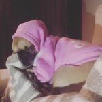 Elçin Sangu Instagram - Hepimize masumiyet lazım...