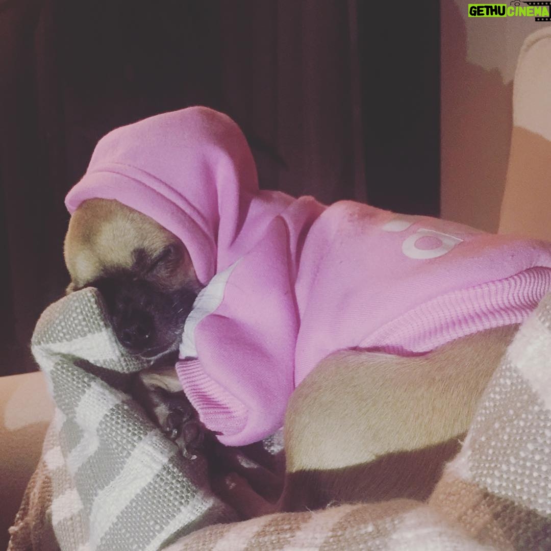 Elçin Sangu Instagram - Hepimize masumiyet lazım...