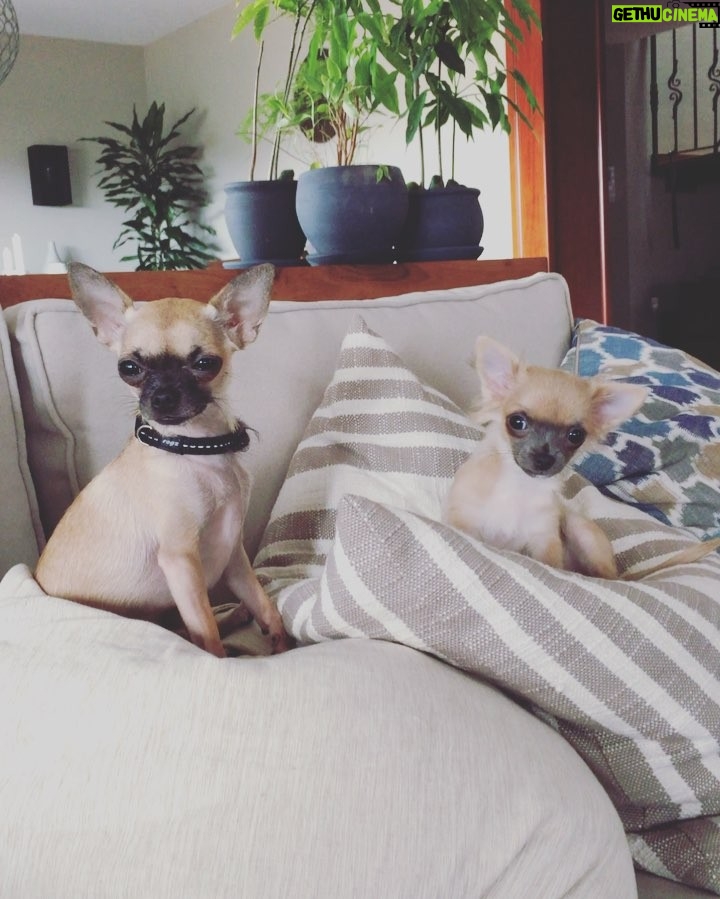 Elçin Sangu Instagram - A very happy Sunday..🎈🎈#sundayfunday #windu #padme