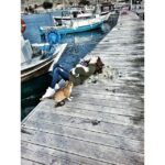 Elçin Sangu Instagram - Iyi ki mavi... photo by; @gokceyanardag 😘