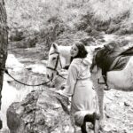 Elçin Sangu Instagram -