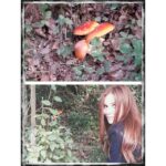 Elçin Sangu Instagram - Bana benzeyen mantar 😁