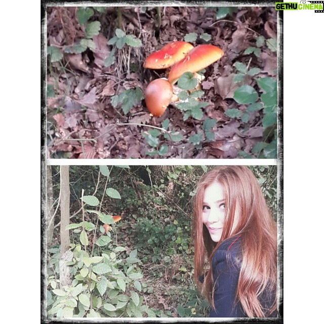 Elçin Sangu Instagram - Bana benzeyen mantar 😁