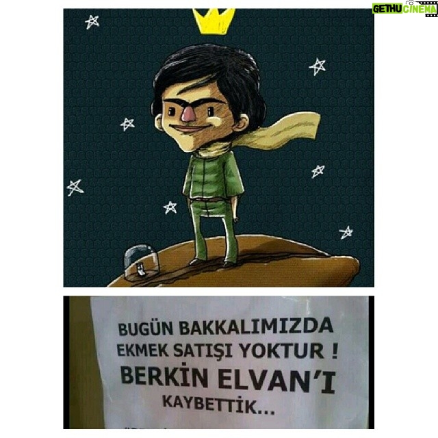 Elçin Sangu Instagram - #BerkinElvanÖlümsüzdür
