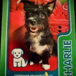 Elden Henson Instagram - RIP Charlie. Hands down the most wonderful dog that ever walked the earth. Charlie was pure love, she filled so many hearts with joy, and was quick to roll onto her back so you could scratch her belly. She brought a smile to every child’s face, during her time in the Dog Therapy Program at the Children’s Hospital, with her one floppy ear, and permanent grin. She loved unconditionally and I think that’s really special. Love you Charlie girl!!! You did great and you earned some rest!! 🖤